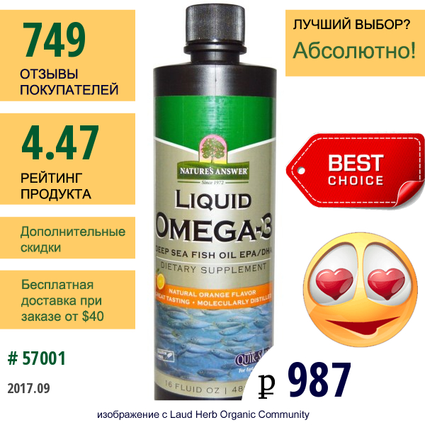 Natures Answer, Жидкие Кислоты Омега-3, Рыбий Жир С Эпк/дгк, Натуральный Апельсиновый Вкус, 16 Жидких Унций (480 Мл)  