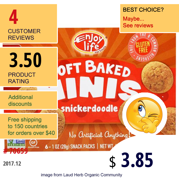 Enjoy Life Foods, Soft Baked Minis, Snickerdoodle, 6 Individual Snack Packs, 1 Oz (28 G) Each