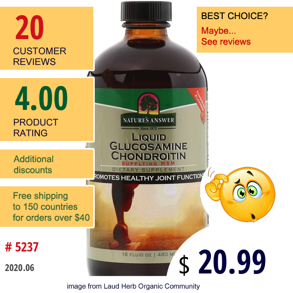 Nature'S Answer, Liquid Glucosamine Chondroitin, Tangerine Flavored, 16 Fl Oz (480 Ml)