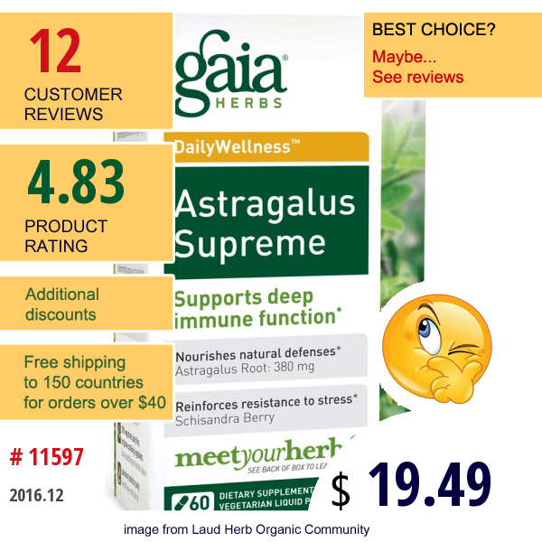 Gaia Herbs, Dailywellness, Astragalus Supreme, 60 Vegetarian Liquid Phyto-Caps