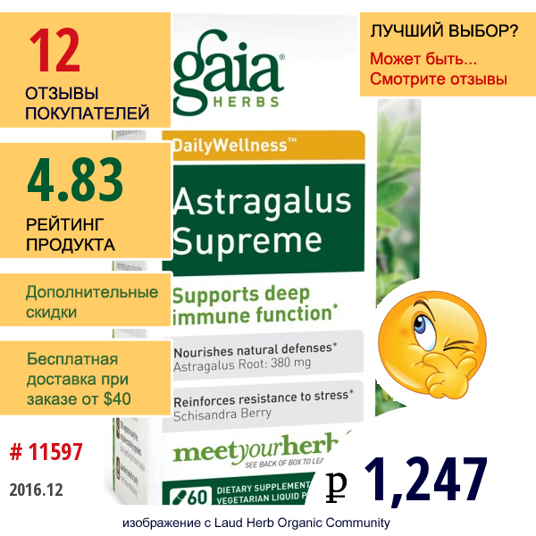 Gaia Herbs, Dailywellness, Астрагал, 60 Вегетарианских Жидких Фито-Капсул