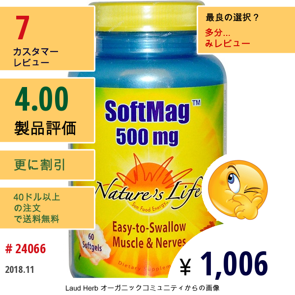 Natures Life, ソフトマグ、500 Mg、ソフトジェル 60 錠  