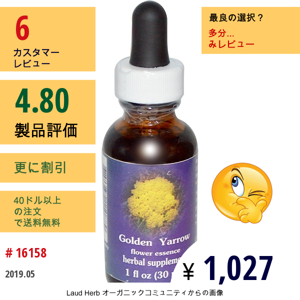 Flower Essence Services, ゴールデンヤロー、1 Fl Oz (30 Ml)  