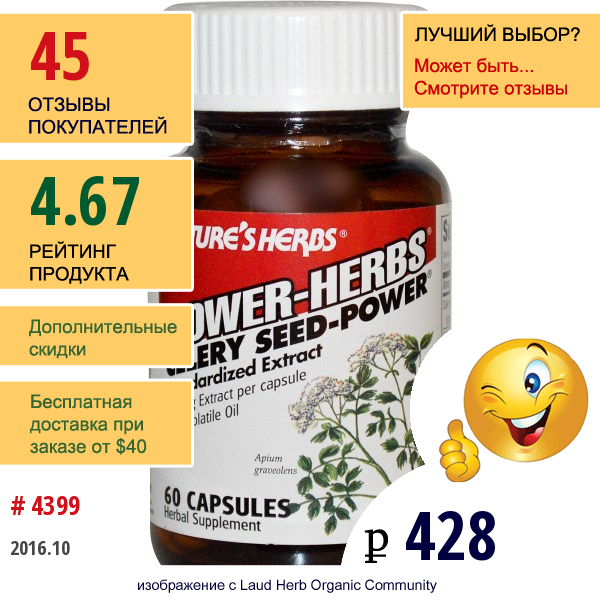 Natures Herbs, Сила Трав, Сила Семян Сельдерея, 60 Капсул  