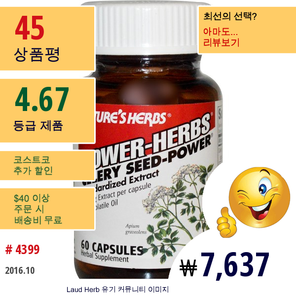 Natures Herbs, Power-Herbs, 샐러리 씨앗-분말, 60 캡슐  