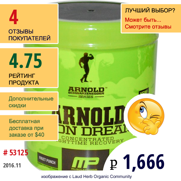 Arnold, Iron Dream, Концентрированное Ночное Восстановление, Фруктовый Пунш, 5,92 Унции (168 Г)  