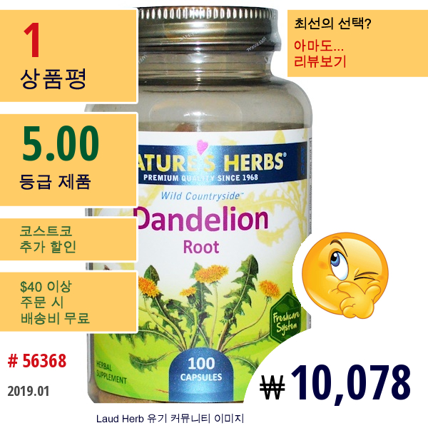 Natures Herbs, 민들레 뿌리, 100 캡슐  