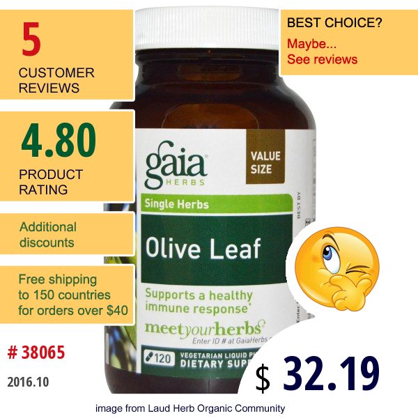 Gaia Herbs, Olive Leaf, 120 Veggie Liquid Phyto-Caps