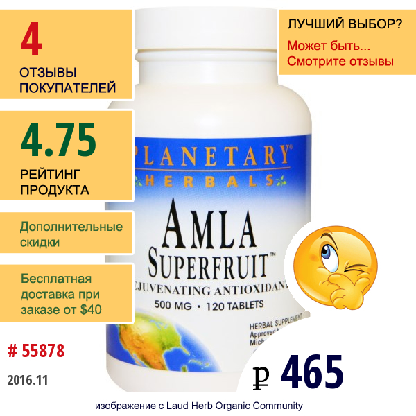 Planetary Herbals, Суперфрукт Амла, Омолаживающий Антиоксидант, 500 Мг, 120 Таблеток