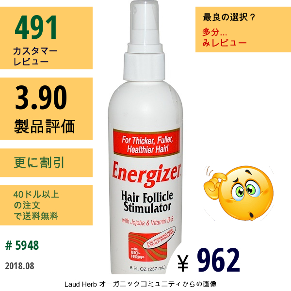 Hobe Labs, エナジャイザー, フォリクル　スティミュレーター, 8液量オンス (237 Ml)