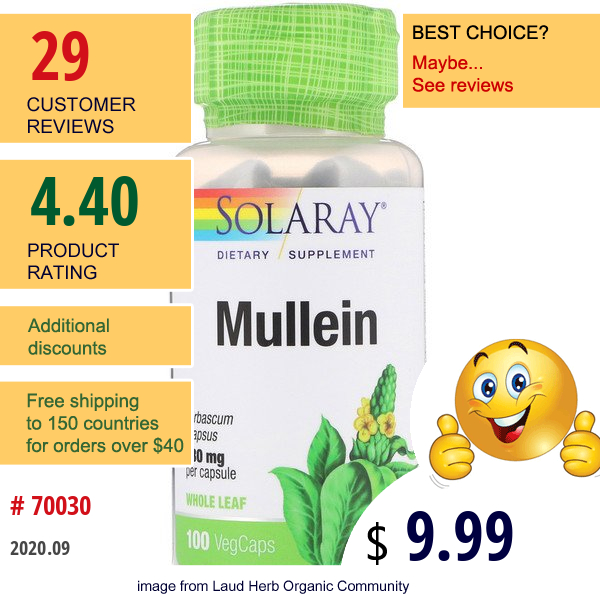 Solaray, Mullein, 330 Mg, 100 Vegcaps