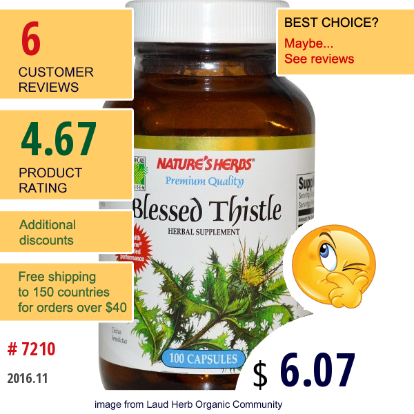 Natures Herbs, Blessed Thistle, 100 Capsules  