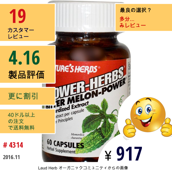 Natures Herbs, パワーハーブ, 苦瓜（ゴーヤ）粉末, 60カプセル  