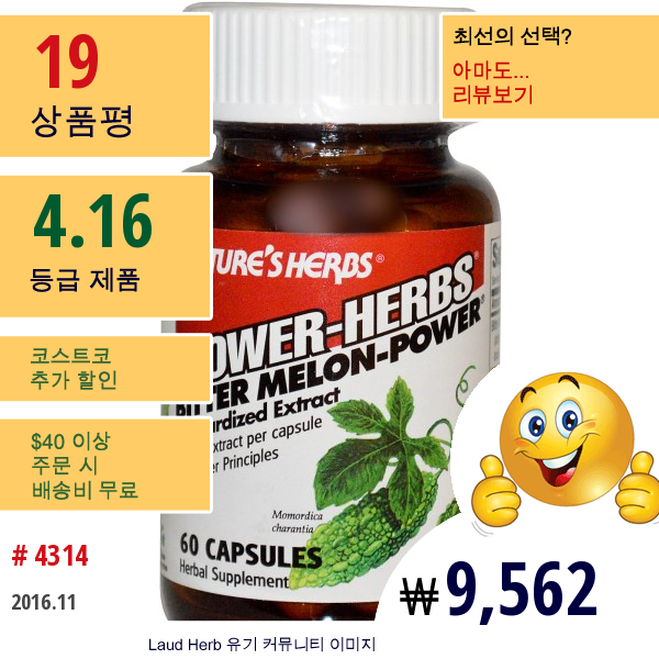 Natures Herbs, 파워-허브, 비터 멜론-파워, 60 캡슐  