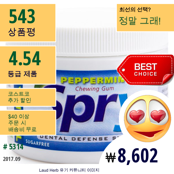 Xlear, Spry, 츄잉껌, 페퍼민트, 무설탕, 100개 (108 G)