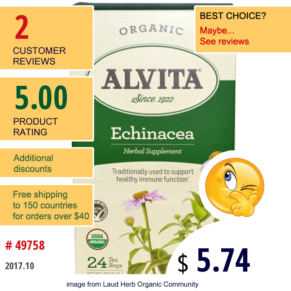 Alvita Teas, Echinacea, Organic, Caffeine Free, 24 Tea Bags, 1.69 Oz (48 G)  