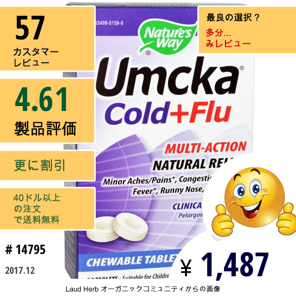 Natures Way, Umcka、 風邪 + インフルエンザ、ベリー味、チュアブル 20 錠　