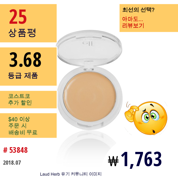 E.l.f. Cosmetics, 커버 에브리싱 컨실러, 라이트, 0.141 온스 (4.0 그램)  