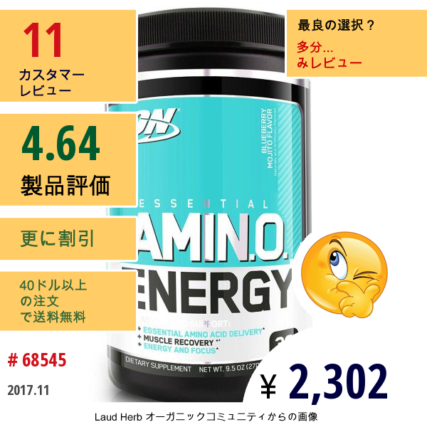 Optimum Nutrition, エッセンシャルアミノエネルギー、ブルーベリーモヒート味、9.5 Oz (270 G)