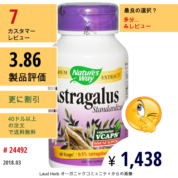 Natures Way, アストラガルス 標準化、ベジキャップ使用 60 錠