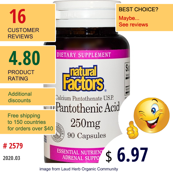 Natural Factors, D'Pantothenic Acid, 250 Mg, 90 Capsules  