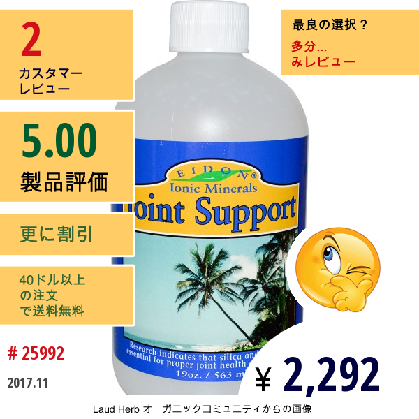 Eidon Mineral Supplements, イオンミネラル、関節サポート、19 Oz (563 Ml)  