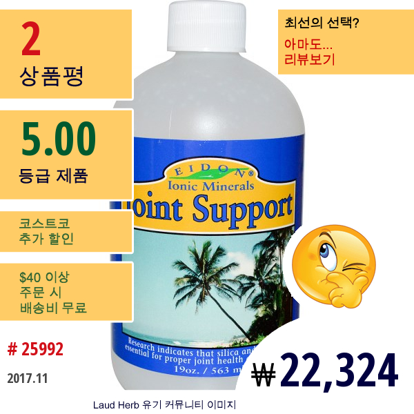 Eidon Mineral Supplements, 이온성 미네랄, 관절 보조, 19 Oz (563 Ml)  