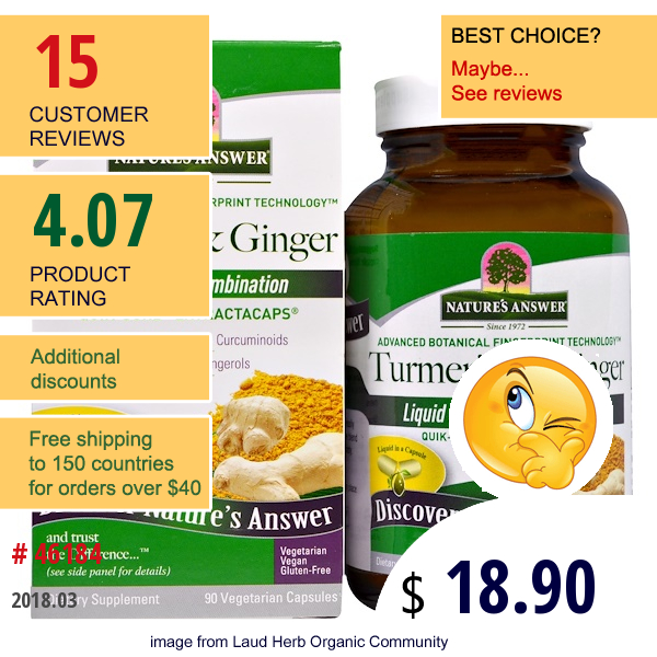 Natures Answer, Turmeric & Ginger, 90 Vegetarian Capsules