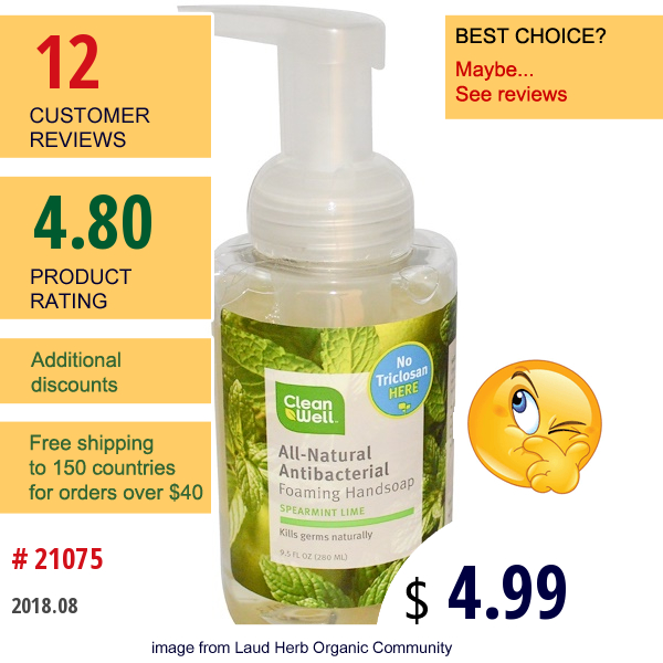 Clean Well, All-Natural Antibacterial Foaming Handsoap, Spearmint Lime, 9.5 Fl Oz (280 Ml)  