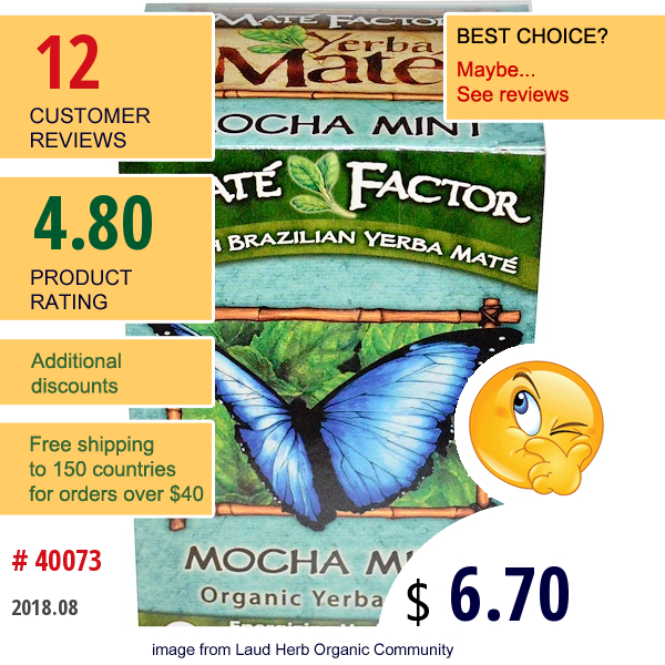Mate Factor, Organic Yerba Maté, Mocha Mint, 20 Tea Bags, 2.47 Oz (70 G)