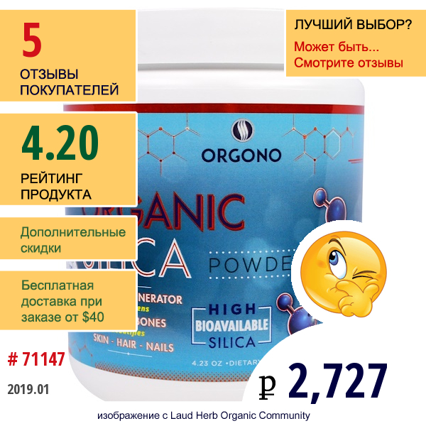 Silicium Laboratories Llc, orgono, Органический Порошок Диоксида Кремния, 4,23 Унции (120 Г)