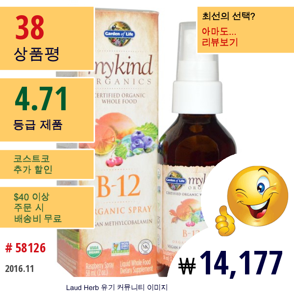 Garden Of Life, 마이카인드 오가닉스 B-12 유기농 스프레이, 라즈베리, 2 Oz (58 Ml)