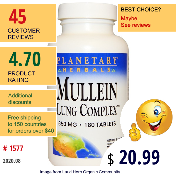 Planetary Herbals, Mullein Lung Complex, 850 Mg, 180 Tablets