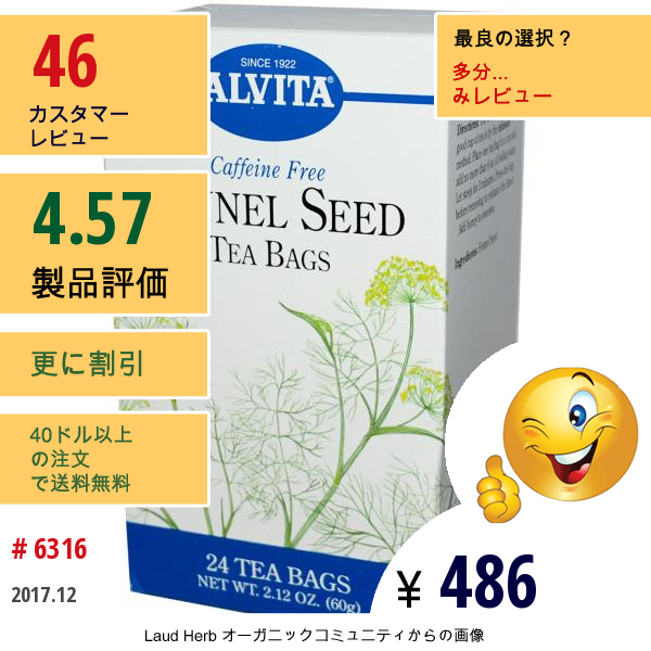 Alvita Teas, フェンネルシード, カフェインフリー, ティーバッグ 24袋, 2.12 オンス (60 G)  