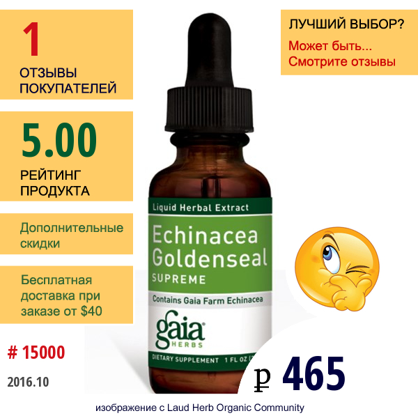 Gaia Herbs, Эхинацея Желтокорень 1 Жидких Унции (30 Мл)  