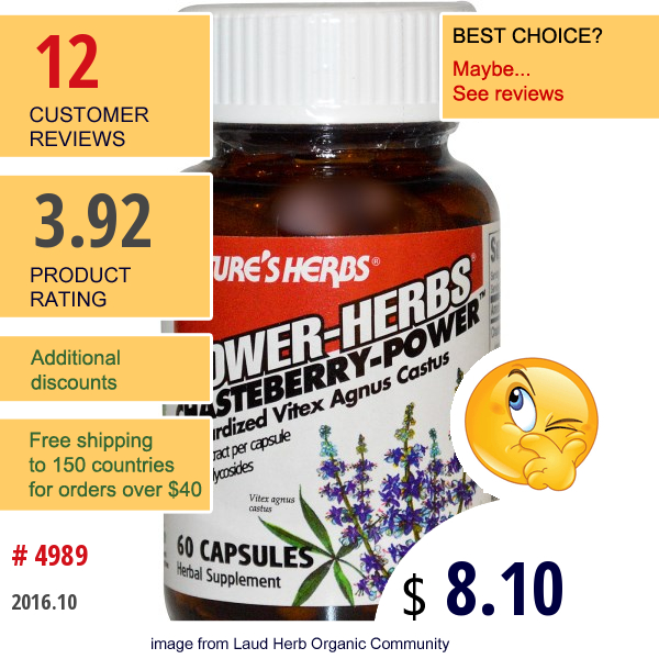 Natures Herbs, Power-Herbs, Chasteberry-Power, 60 Capsules  