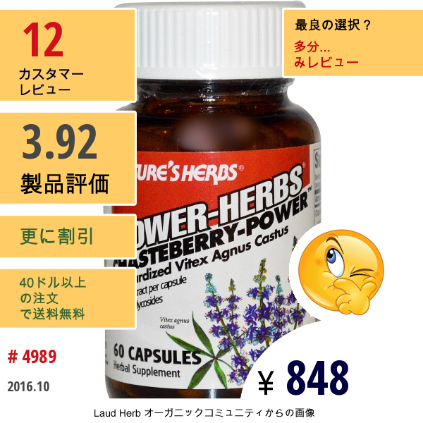 Natures Herbs, Power-Herbs, チェストベリーパワー, 60 カプセル  