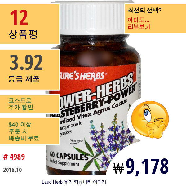 Natures Herbs, 파워-허브, 체이스트베리-파워, 60 캡슐  