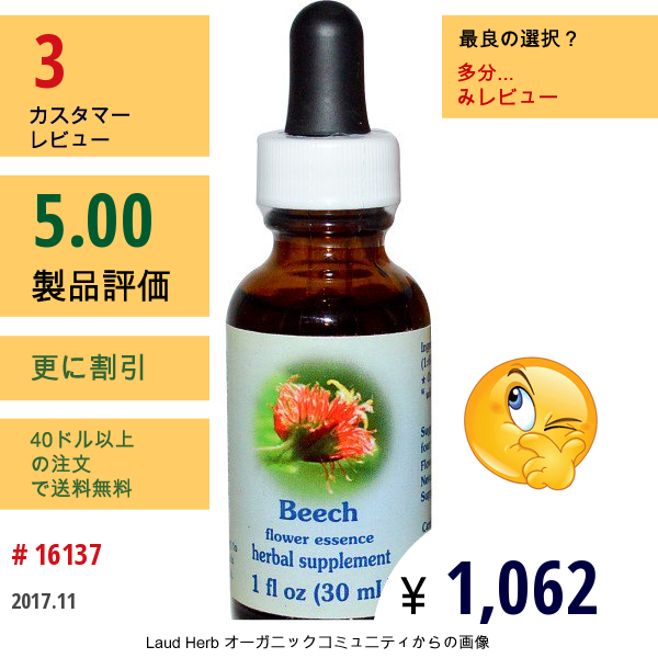 Flower Essence Services, ビーチ、フラワーエッセンス、1 Fl Oz (30 Ml)