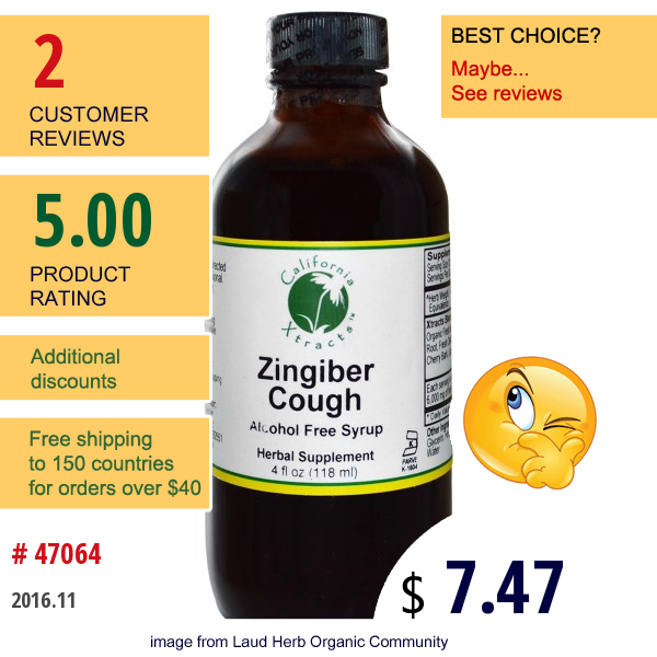 California Xtracts, Zingiber Cough, Alcohol Free Syrup, 4 Fl Oz (118 Ml)  