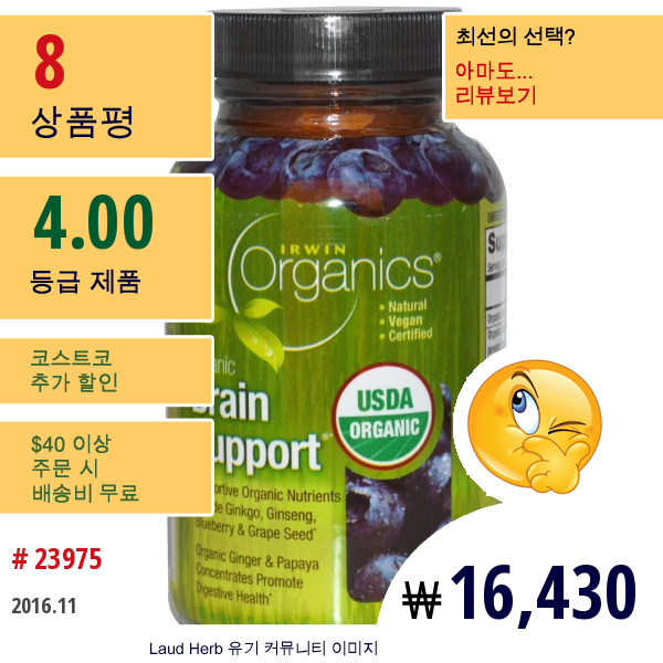 Irwin Naturals, 올가닉스, 두뇌 지원, 60 정