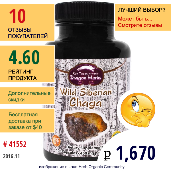 Dragon Herbs, Дикая Сибирская Чага, 350 Мг, 100 Капсул