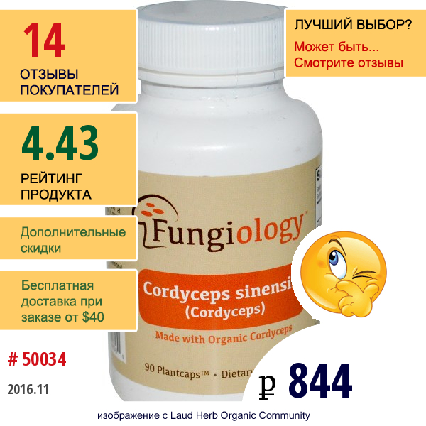 Fungiology, Кордицепс, 90 Растительных Капсул