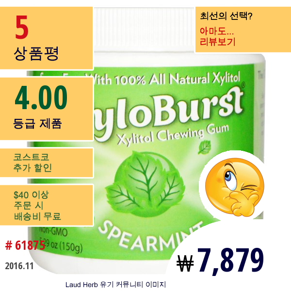 Xyloburst, 자일리톨 츄잉껌, 스피아민트, 5.29 Oz (150 G), 100개입 