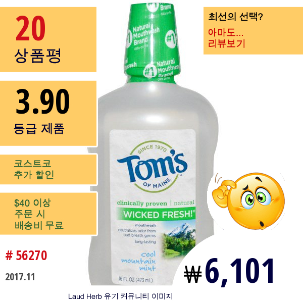 Toms Of Maine, Wicked Fresh! 마우스워시, 쿨 마운튼 민트, 16 액량 온스 (473 Ml)