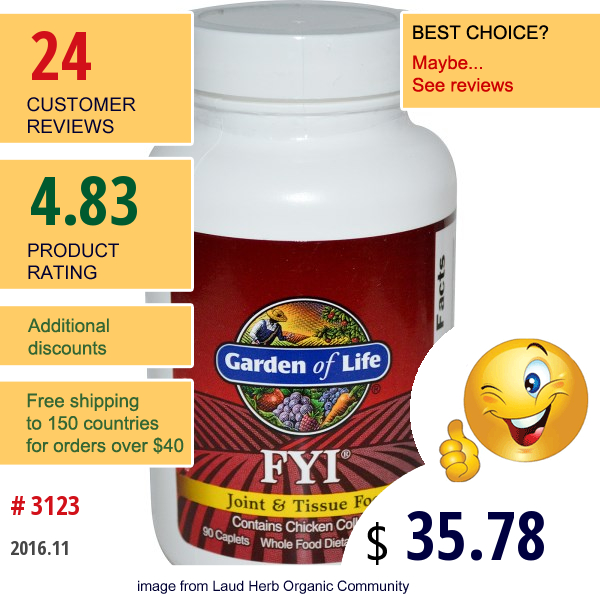 Garden Of Life, Fyi, Joint & Tissue Food, 90 Caplets