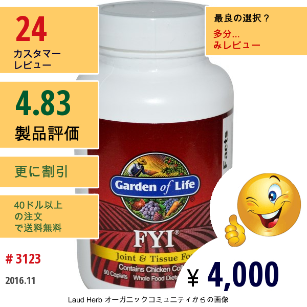 Garden Of Life, Fyi, 関節と組織のフード、90キャップレッ