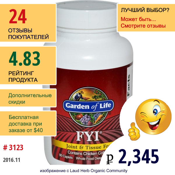 Garden Of Life, Fyi, Питание Для Суставов И Соединительной Ткани, 90 Капсул