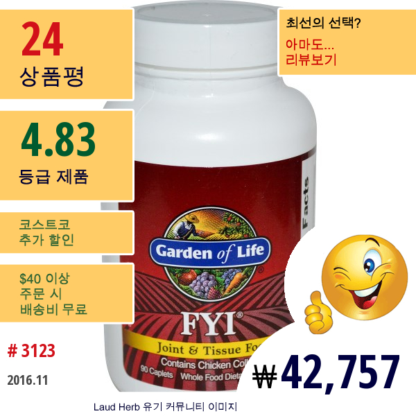 Garden Of Life, Fyi, 조인트 & 티슈 푸드, 90 캡슐