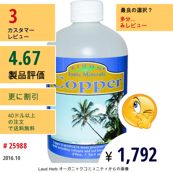 Eidon Mineral Supplements, イオニック・ミネラル、銅、19 オンス (563 Ml)